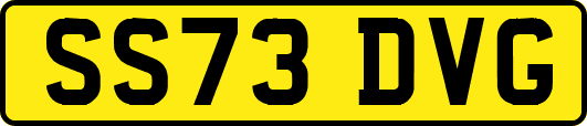 SS73DVG