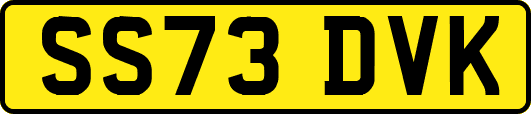 SS73DVK
