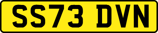 SS73DVN