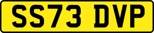 SS73DVP