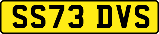 SS73DVS