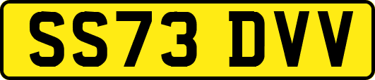 SS73DVV