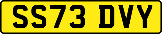 SS73DVY