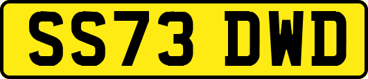 SS73DWD