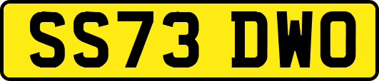 SS73DWO