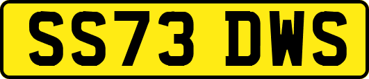 SS73DWS