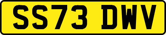 SS73DWV