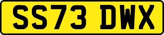 SS73DWX