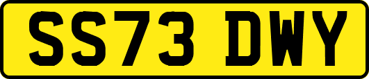 SS73DWY