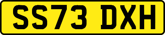 SS73DXH