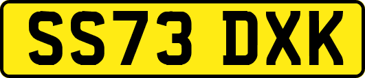 SS73DXK