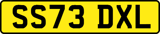 SS73DXL