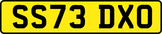 SS73DXO