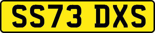 SS73DXS
