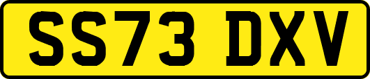 SS73DXV