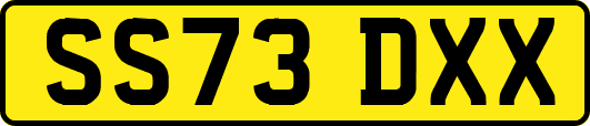 SS73DXX
