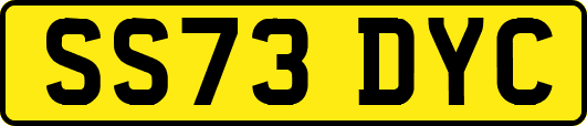 SS73DYC