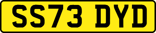 SS73DYD