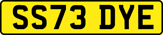 SS73DYE