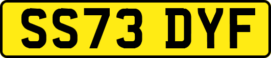 SS73DYF