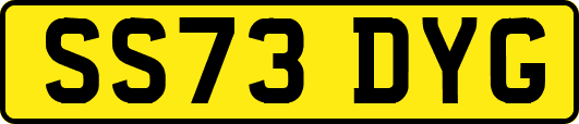 SS73DYG