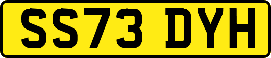 SS73DYH