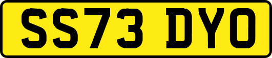 SS73DYO