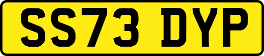 SS73DYP