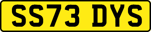 SS73DYS