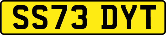 SS73DYT