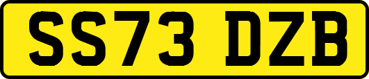 SS73DZB