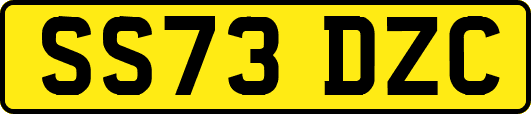 SS73DZC