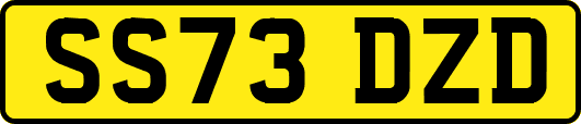 SS73DZD