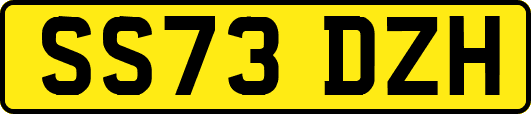 SS73DZH