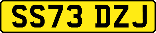 SS73DZJ