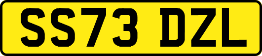 SS73DZL