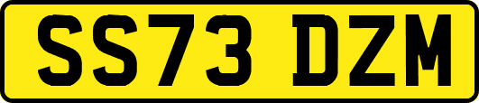 SS73DZM