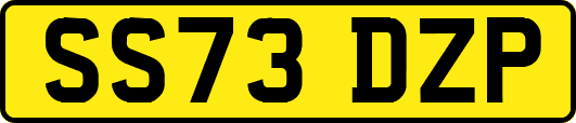 SS73DZP