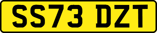 SS73DZT