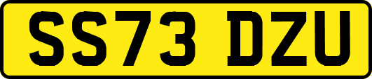 SS73DZU