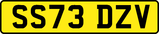 SS73DZV