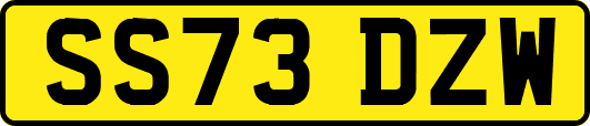 SS73DZW