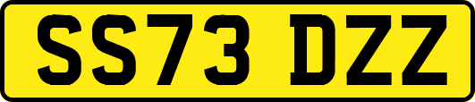 SS73DZZ