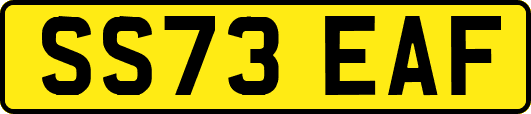 SS73EAF