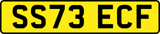 SS73ECF