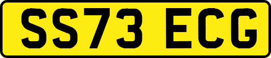 SS73ECG
