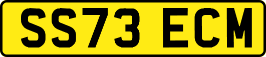 SS73ECM