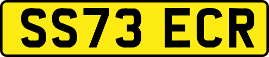 SS73ECR