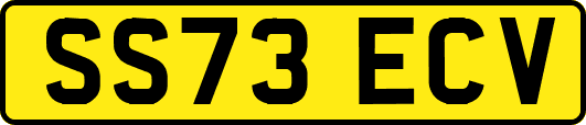 SS73ECV