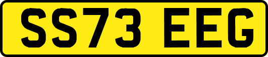 SS73EEG